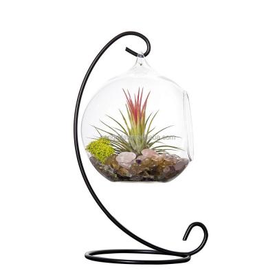 China Eco-friendly Mini Hanging Glass Vase Plant Greenhouse With Black Or White Metal Stand For Home Decoration for sale