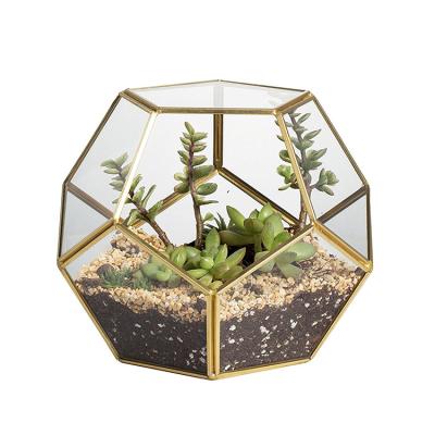 China Traditional Glass Gold Copper Geometric Mini Greenhouse/Glass Globe Mini Hanging Greenhouse for sale