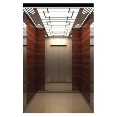 중국 Professional Residential Passenger Elevator  Economical Residential Commercial Passenger Elevator 판매용