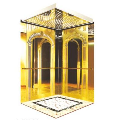 Κίνα FUJIHD professional Domestic Passenger Lifts Made Stainless Steel Material Residential Passenger Elevator προς πώληση