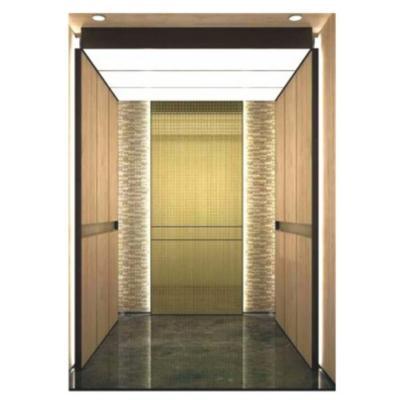 China FUJIHD High Quality Building Luxury Electric Small residential Passenger Elevator à venda