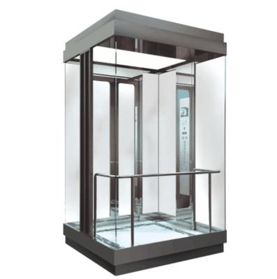 China Durable Traction Passenger Elevators  Panoramic Sightseeing Small Home Residential Glass Elevator for sale