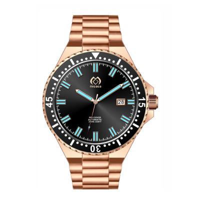 China New Waterproof Luxury Automatic Watch Custom Logo Stainless Steel Watch for sale