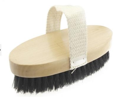 Chine L'eau molle de brosse de poil de Handdle de longue brosse tolérante/brosse poil de porc à vendre