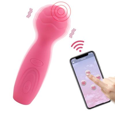 China Waterproof Low Price Guaranteed New Type Motor Dildo Vibrator Battery Women Sex Toy Silicone Hot Selling Quality Hot Selling Vibrating Massager for sale