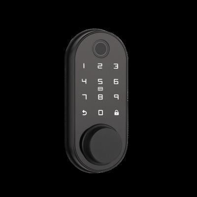 China Tuya/TT Tuya Smart Lock Smart Phone Authorization for Access Fingerprint Remote Control Lock for sale