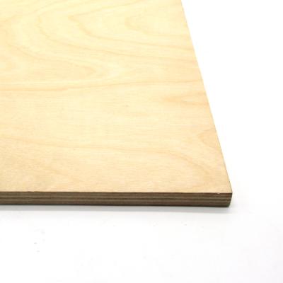 China die making factory-direct sales 1220x2440mm die board plywood for laser die board die making for sale