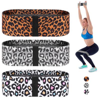 China Durable Workout Home Gym Sports Training Equipment Fitness Expander Elastic Band Exercise Hip Circle Loop Fabric Rubber Resistance Bands for sale