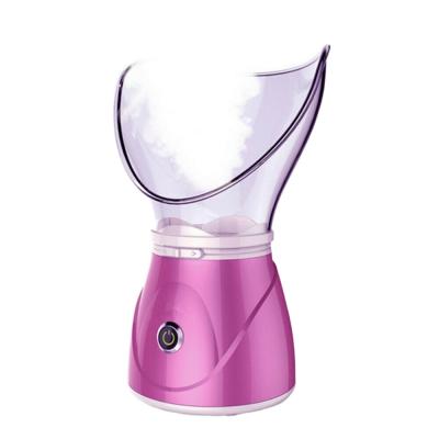 China Hot Selling Modern Design Moisturizer Moisturizing ABS+Silicone Ion Facial Cleansing Thermal Spray Nano Steamer for sale