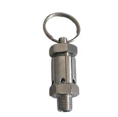 China Mini General Stainless Steel Safety Pressure Relief Valve for sale