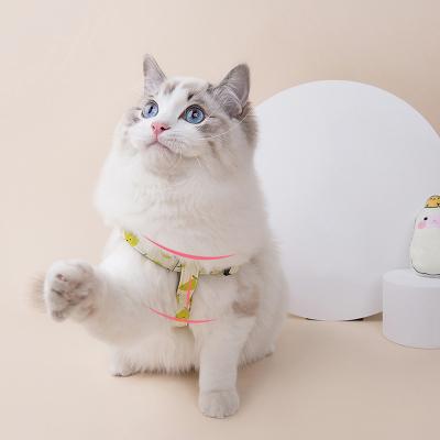 China 2022 Retractable Dog Puppy Cat Soft Protective Anti Escape Vest Harness Stocked Dog Leash Fruit Series for sale