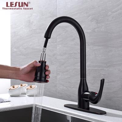 China Modern Hot And Cold 304 Stainless Steel Hot Water Hose Tap Matt Black Brass Kitchen Faucet With Pull Out Long Spout for sale