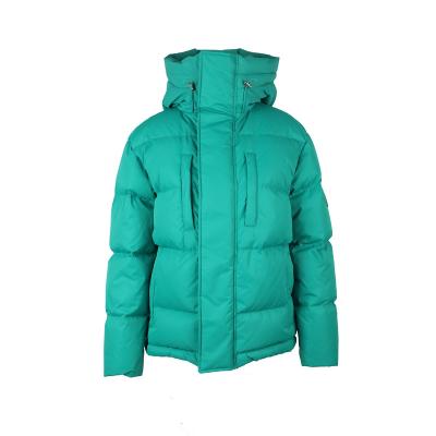 China Newest Fashion Sustainable Women's Down Jacket Lady Hooded Jacket for sale