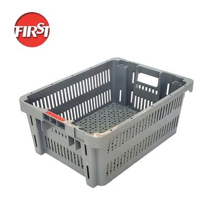 China Green Plastic Crate For Reusable Egg Transport Storage Solutions Industrial Collapsible for sale