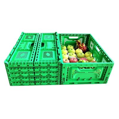 China Foldable Plastic Crates for Fruits and Vegetables Storage 40L PP Plastic Any Industry for sale