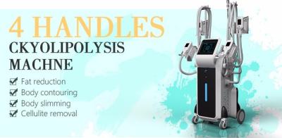 China Freezing fat treatment Cryotherapy Slimming Machine With Different Handles for sale