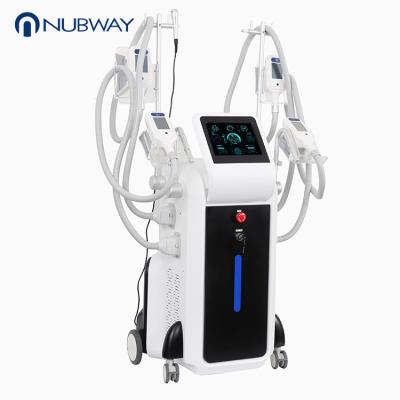 China can you freeze fat cells cryo slimming machine antifreeze membrane for cryolipolysis for sale