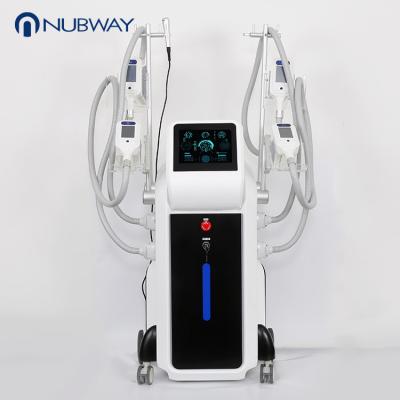 China cryo clinic 6cm slimming cryolipolysis fat reduction machine for sale