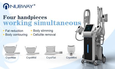 China cryotherapy and weight loss unique double chin treatment cryolipolysis cellulite reduce machine for sale