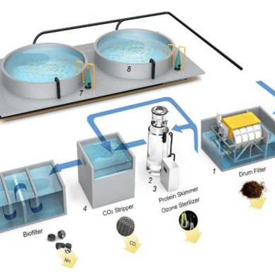 China RAS Farming Low Noise Rotary Drum Filter for Fish Farming for RAS System Fish Farming Equipment for sale