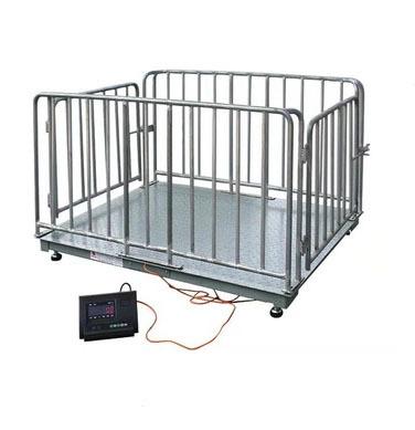 China Measure Weight 2m*3m Clever Electric Weighing Platform Scale for Animals 1000 KGS for sale