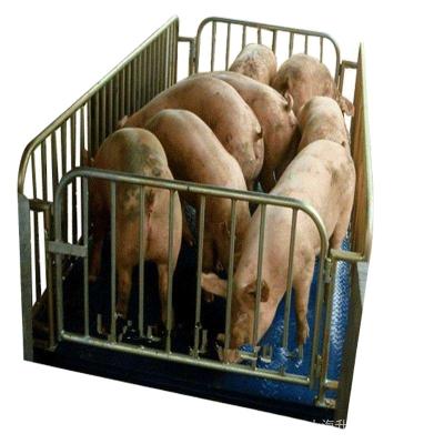 China For Pig Good Quality Livestock Cattle Scale Animal Weigh Scale for Pig for sale