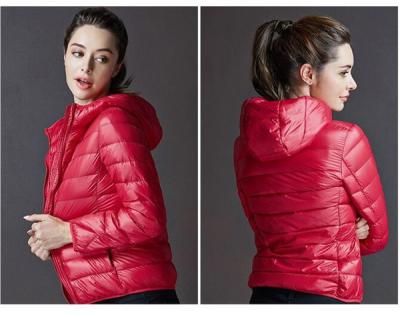 China Latest High Quality Ladies Light Quilted Winter Jackets for sale