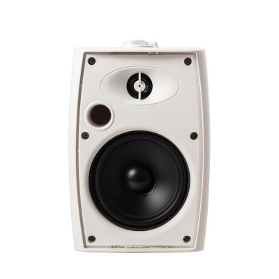 China DTS Ceiling Speaker Hot Sale IP Super Bass Speaker 313 White 6 Inch Ceiling Speaker for sale