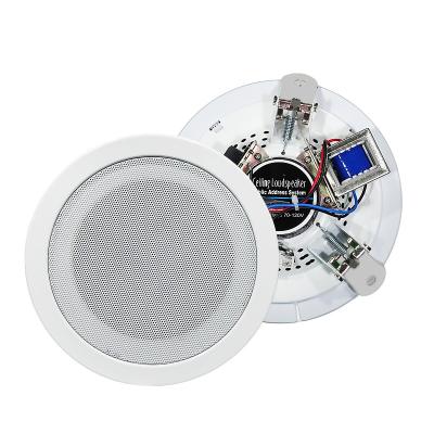 China Hot Sale Stereo Sound Ceiling Speaker PA Speaker TS 302 5 Inch 10w White Ceiling Speaker for sale