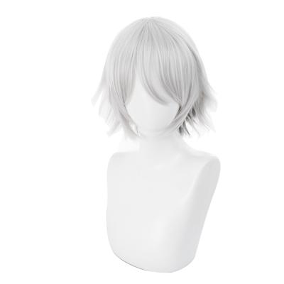 China Fate/GrandOrder FGO Lan Lin Wang Adult's GRAY 235BB Christmas Cosplay Elastic Lace Wig Men's Short Wig for sale