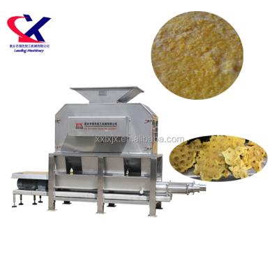 China High Efficiency Fresh Pineapple Extract Juiceor Machine Capacity 2-3t/h Fresh Pineapple Juice Processing Machine for sale