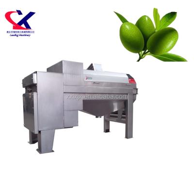 China Fruit Olive Processing Machine Pitting Machine Olive Extractor High Quality 3000kg/h High Efficiency for sale