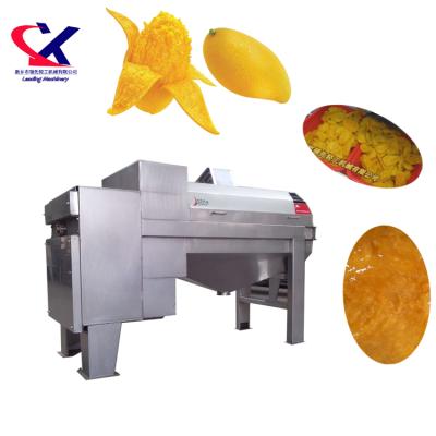 China Processing Line Mango Processing Plant, Tomato Processing Plant, Juicer High Efficiency Fruit Machine for sale