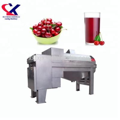 China High Efficiency Cherry Juicer Machine Industrial Cherry Juice Making Machine for sale