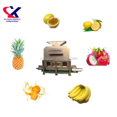 China Easy Operation Pineapple Juice Making Machine High Quality Pineapple Juice Extraction Machine For Pineapple Juice Processing for sale