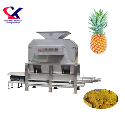 China Easy Operation And Mutifunctional Plant Pineapple Industrial Fruit Equipment Juice Process Line Equipment Pineapple Processing Line for sale