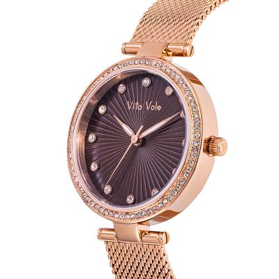 China Female Logo Stainless Steel Mesh Strap Quartz Movement Water Resistant Japan Wristwatch OEM ODM Manufacturer Watches Producer for sale