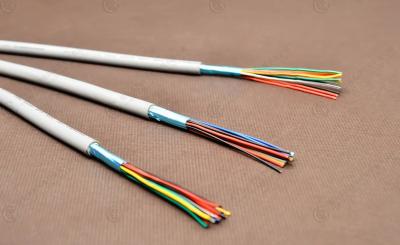 China Cable de datos del PVC del CERT del CE con la trenza de cobre estañada LiYY, LiYCY 10Cx0.5sqmm en color gris en venta