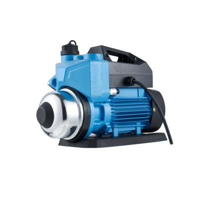 China Other 0.27hp 0.4hp Cast Iron Control Water Inverter Self-priming Booster Pump for sale