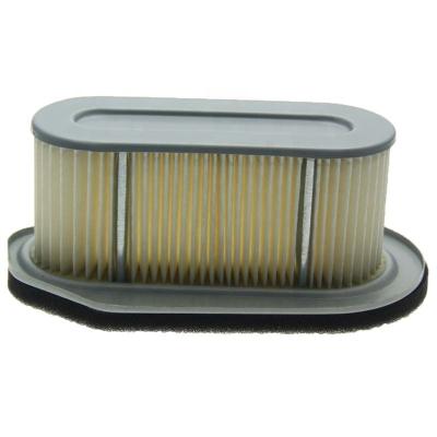 China Lawn& Garden Hainte Briggs and Stratton Craftsman Small Engine Lawn Mower Air Filter for Ariens Kawasaki Lawn Mower 11013-2132 for sale