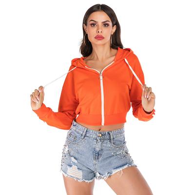 China 2020 New Anti Wrinkle Anti Wrinkle Sweater Cardigan Pull Over Hoodies Women Cropped Hoodie Shorts Set for sale