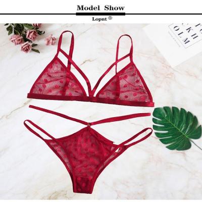 China Anti-Bacterial Women's Sexy Lingerie Bra Set Quality Polyester Lace Lingerie Comfortable and Breathable Underwear Setropa for women underwear for sale