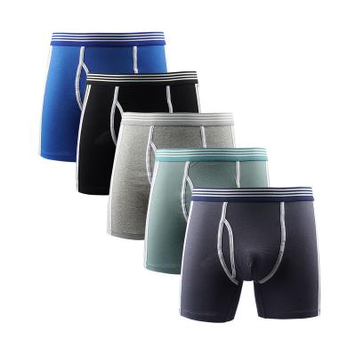 China Anti-Bacterial Oem Custom Brand Mens Long Boxer Brief Mens Polyester Seamless Underwear  For Mens Boxer Briefs for sale