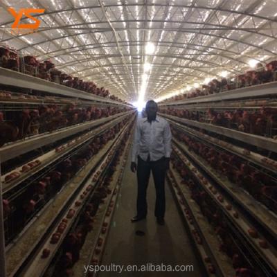 China Durable Automatic Chicken Layer Cage For Sale In Africa for sale