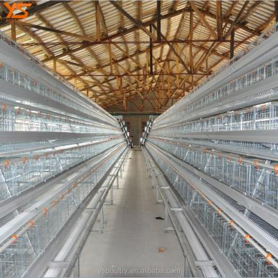 China Durable Hot-dip Galvanized A Type Battery Chicken Layer Cage for sale