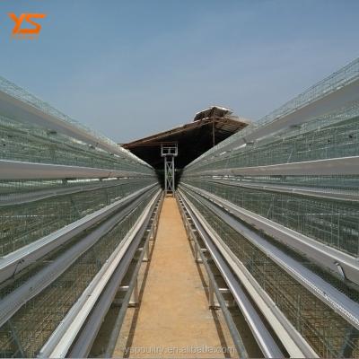 China Durable Factory Price Chicken Farm Layer Chicken Cages For Sale In Kenya for sale