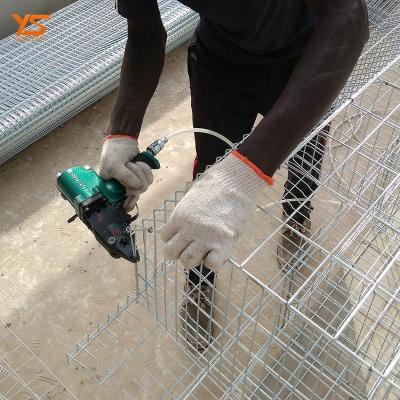 China Battery Chicken Layer Cage Anti-Corrosion Hot Sale For Senegal Farm With Tower Head Service for sale