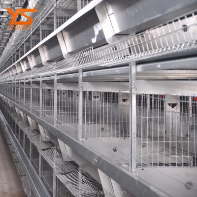 China Safe H Type 4-8 Tiers Poultry Layer Battery Cage for sale