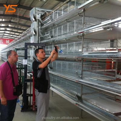 China Safe Europe H Type Chicken Cages For Layers for sale