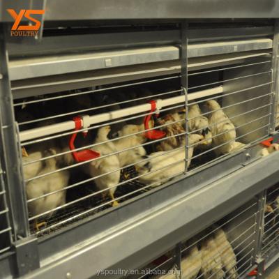 China Durable Hot Sale H Type Price Chicken Cage For Baby Day Old Chicks for sale